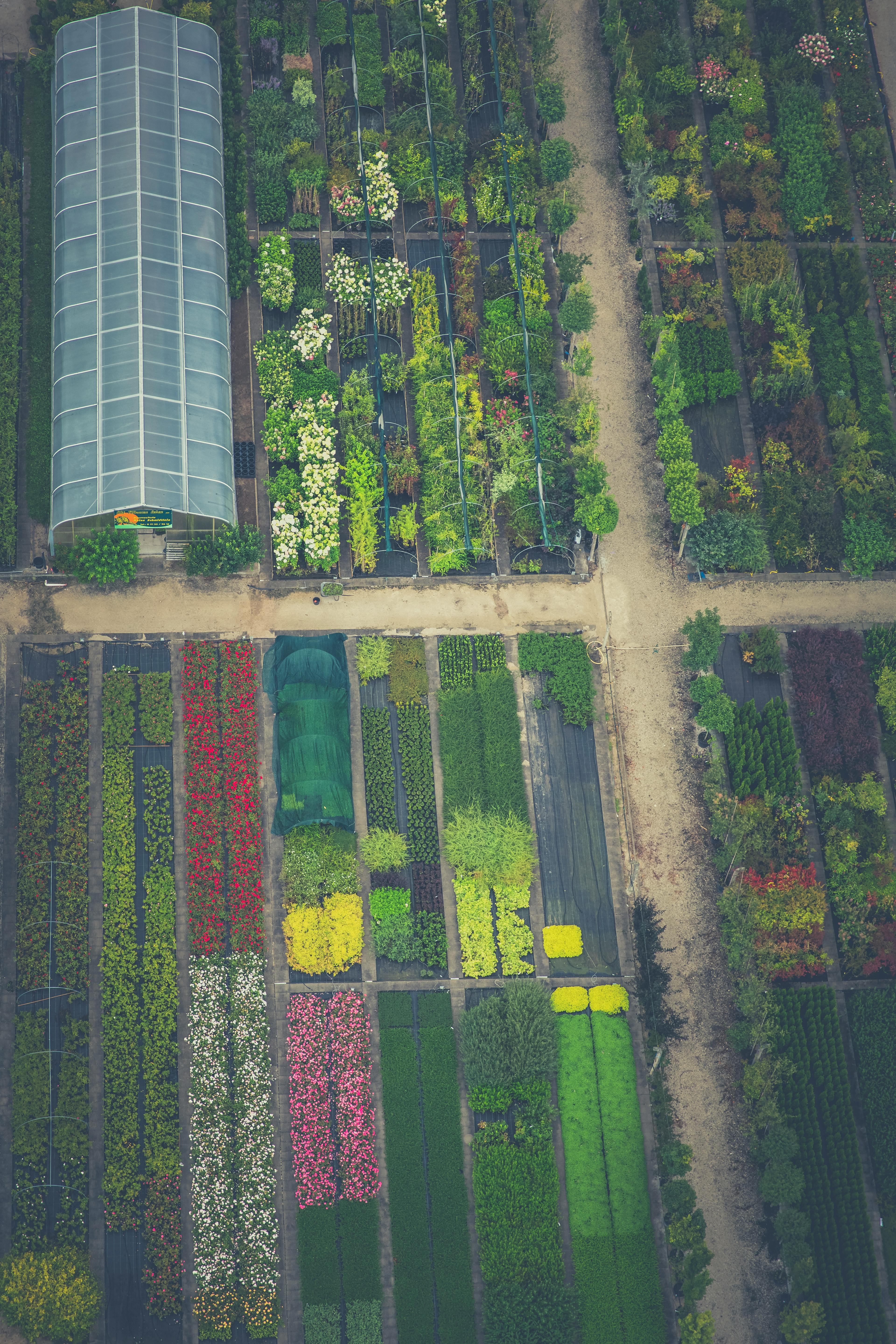 Beispiel für erfolgreiche Gartenplanung